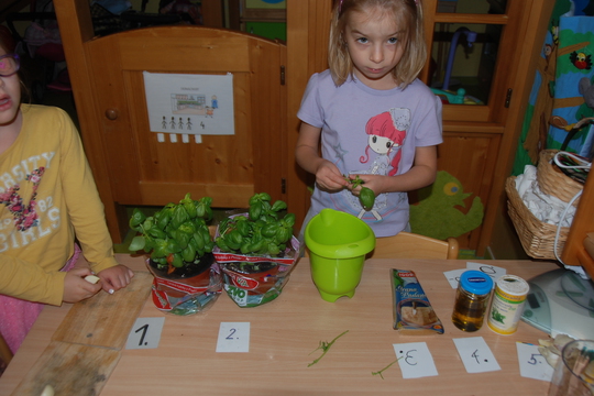 Školička Kamarád místem setkávání pedagogů 1