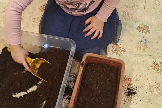 Bylinková radost v naší školce 1