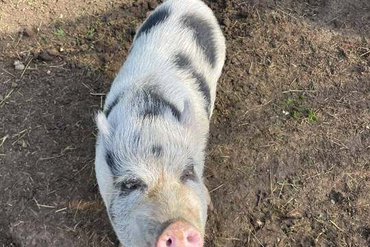 Modráček na Farmě Skalka Modráček na Farmě Skalka 1