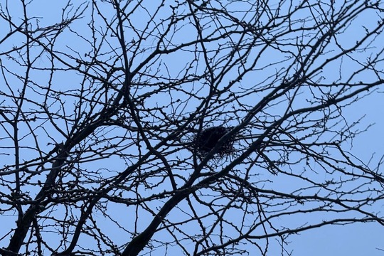 Vnímáme přírodu  1