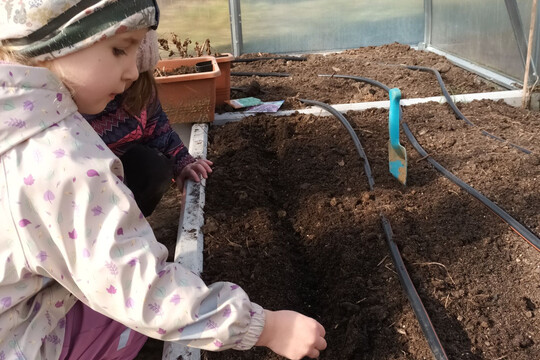 Jak si kdo zasadí, tak si taky sní  1