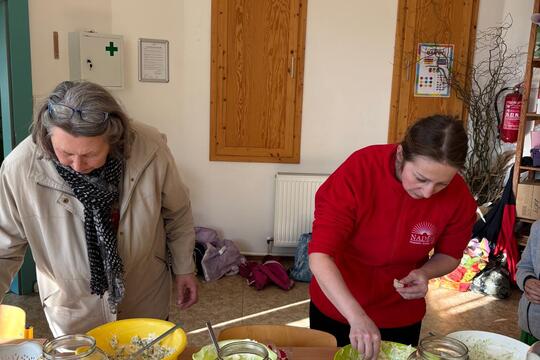 Zdravé pomazánky 1