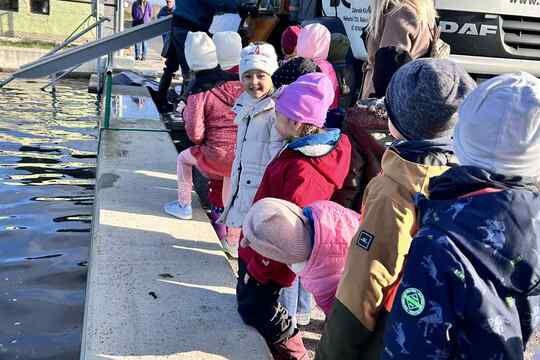 Výlov rybníka Výlov rybníka 1