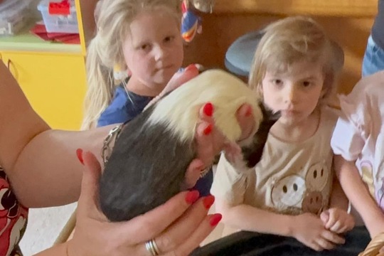 Máme nové mazlíčky Máme nové mazlíčky 1