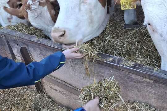 Výlet na Zlatou farmu  1
