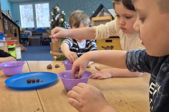 Vzpomínky na Vánoce 1