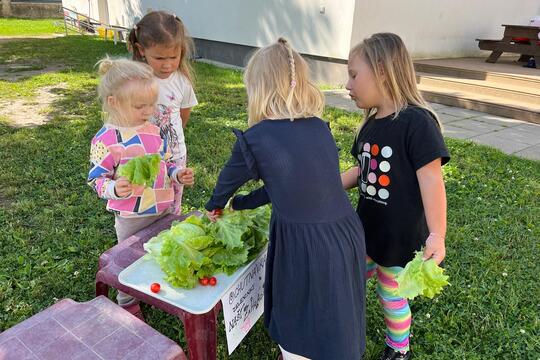 Náš malý zeleninový trh  1