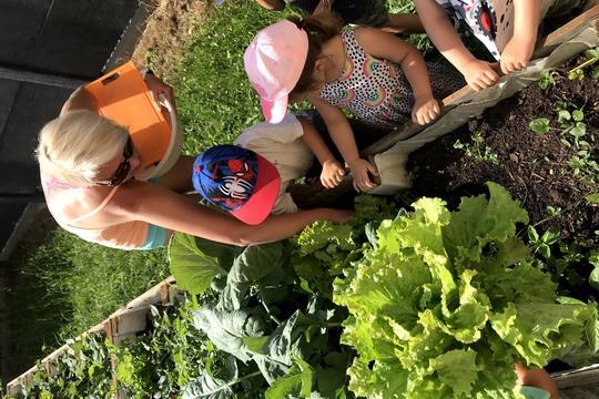 Sklízíme plody naší zahrady 1