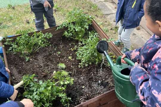  Jak jsme prožili malý farmářský týden... 1