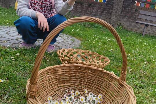 Cesta za tajemstvím babiččiny kuchyně: JARO a SÍLA probouzející se přírody 1