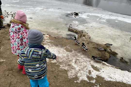 Výprava za labutěmi Výprava za labutěmi 1