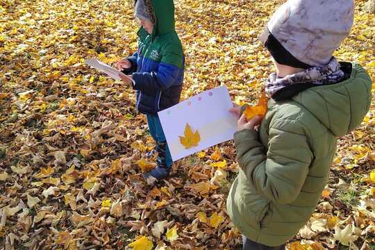 PODZIM KOLEM NÁS PODZIM KOLEM NÁS 1