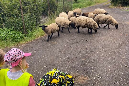 Medvídci z MŠ Soběchleby na ovčí farmě 1