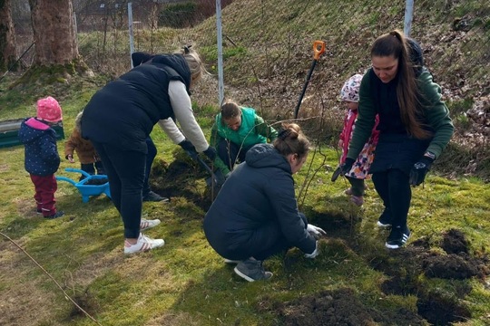 Budování zahrady Budování zahrady 1