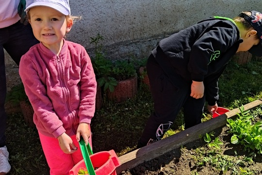 Jaro u nás na zahrádce Jaro u nás na zahrádce 1