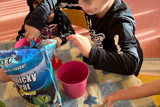 Péče o bylinky z hydroponické zahrádky Péče o bylinky z hydroponické zahrádky 1