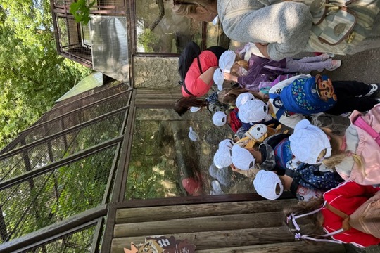 MŠ Sluníčko na výletě - Zoopark Chomutov 1