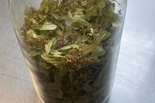 Vůňe lipového čaje Vůňe lipového čaje 1