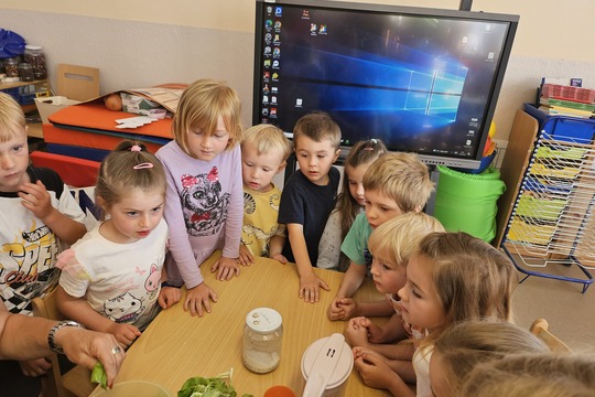 Od semínka k rostlince 1