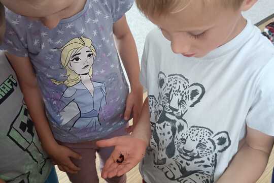 Vermikompostér Vermikompostér 1