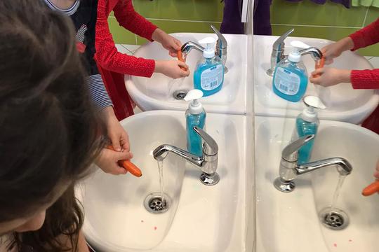 Chefs in Training - Veggie Fries 1