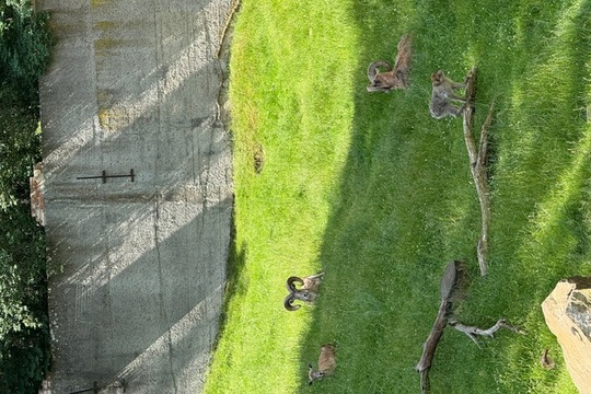 MŠ Sluníčko na výletě - Zoopark Chomutov 1