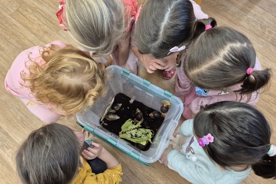 Noví šnečí kamarádi  1