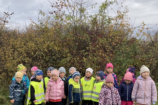 Vše o šípku - Berušky 1