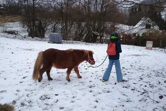Návštěva poníků v Lísce Návštěva poníků v Lísce 1