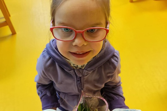 Vajíčková pomazánka od Motýlků 1