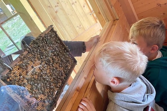 Včelařská farma - Doležalův med 1
