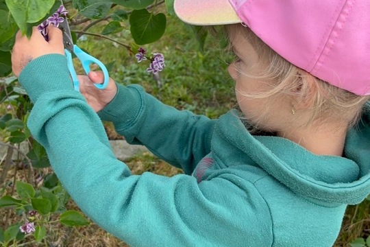 Šeříkový sirup jako dárek Šeříkový sirup jako dárek 1