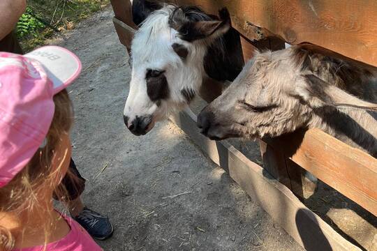FARMAPARK U TOMA 1