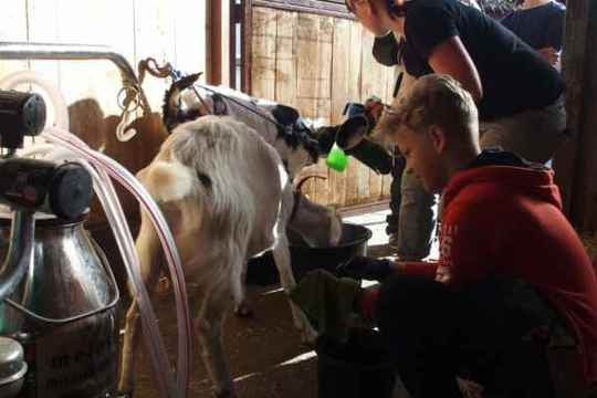 Žáci ZŠ Oskol se pravidelně učí na farmě 1