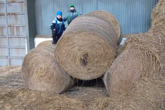 Za zvířaty na Rodinnou farmu Suchý ve Slavětíně Za zvířaty na Rodinnou farmu Suchý ve Slavětíně 1