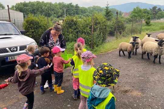 Medvídci z MŠ Soběchleby na ovčí farmě 1