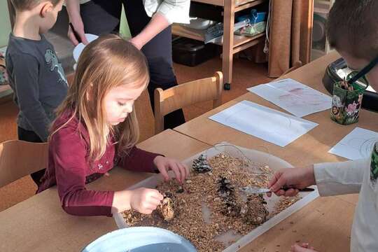 Aktivity U Medvídků 1