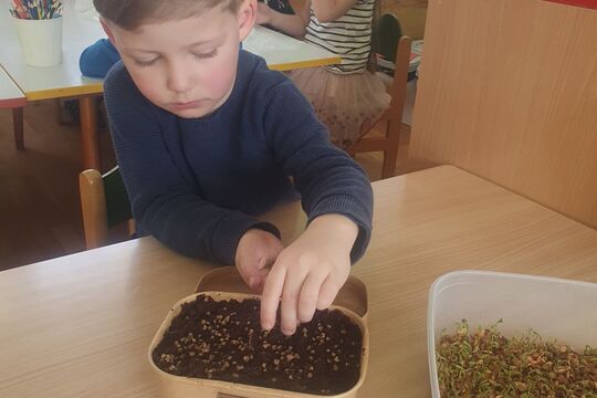 Pěstujeme microgreens - Sovičky 1