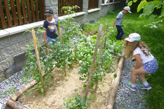 Malí zahradníci 1