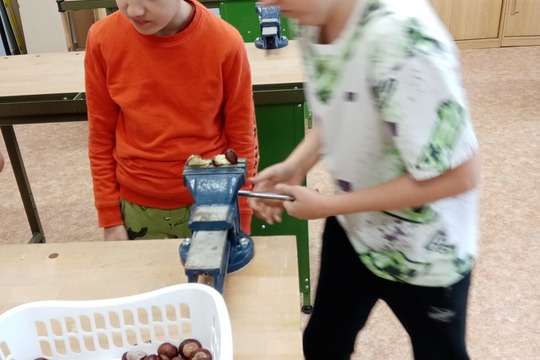 Kaštanový den 1