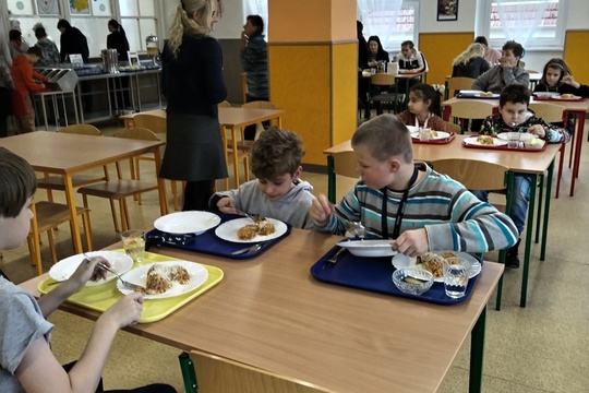 Audit zbytků jídla ve školní jídelně 1