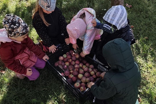 Od jablíčka az ke štrúdlu Od jablíčka az ke štrúdlu 1