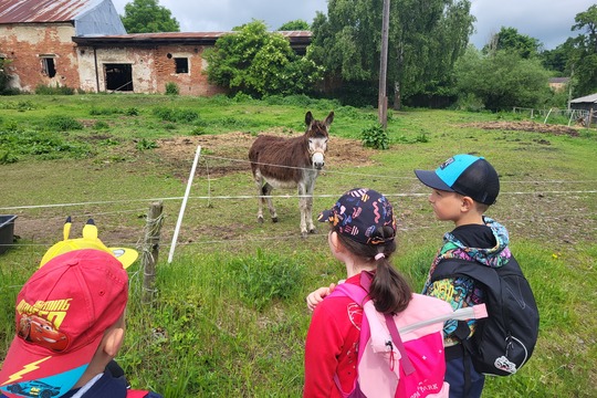 Výlet na Ekofarmu - Kytičky 1