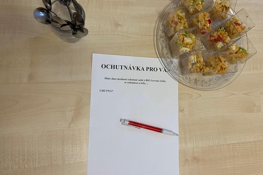 Salát z BIO červené čočky se zeleninou a tofu 1