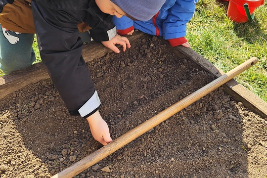 Bylinková radost v naší školce 1