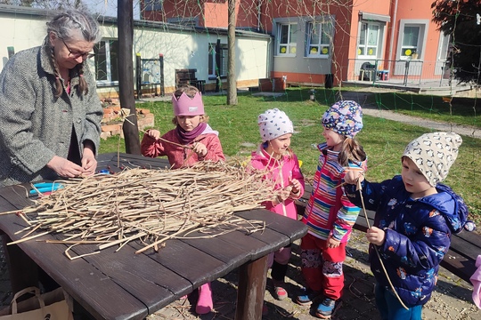 Morena z přírodnin Morena z přírodnin 1