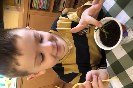 Jak se probouzí příroda a školní zahrádka 1