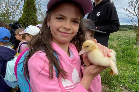 Výlet na farmu plný zážitků Výlet na farmu plný zážitků 1
