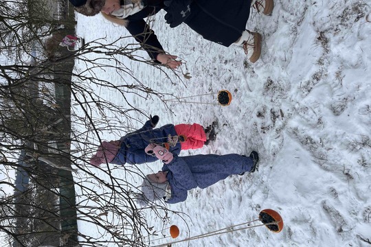 Zimní hodování: Pomerančová krmítka, která zdobí i chutnají 1