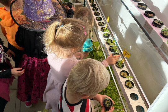 Péče o bylinky z hydroponické zahrádky Péče o bylinky z hydroponické zahrádky 1